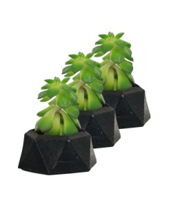 Mini Çiçek Saksı Küçük Sukulent Siyah Kaktüs Saksısı 3'lü Set Mini Poly 2 Model